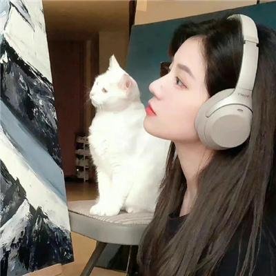 甘南情歌